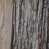 エルム材の木の皮,効果的なマテリアル,アンティーク木材,種類,古材,木目の特徴,オーク材,エルム材,パイン材,ビーチ材,ウォルナッツ材,アンティークレンガ,アンティークストーン3